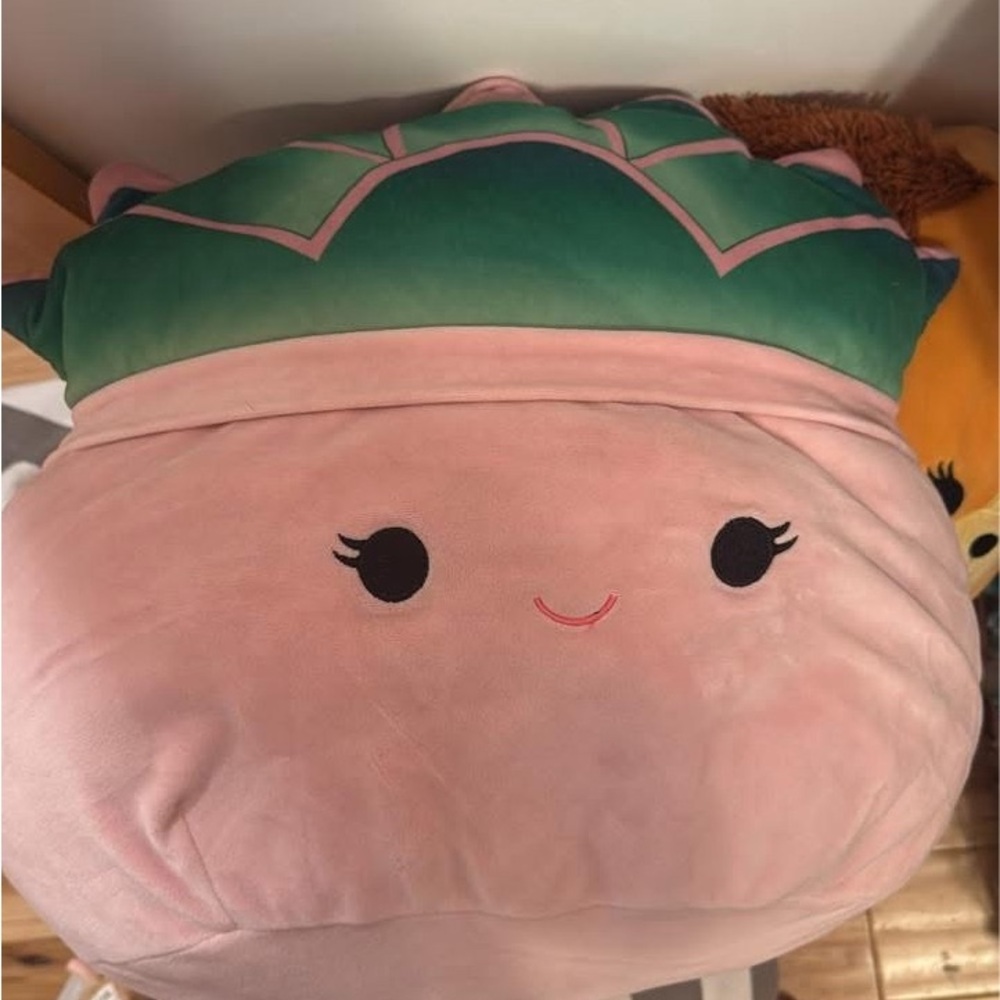 Squishmallows Pink and Green Stuffed Animal